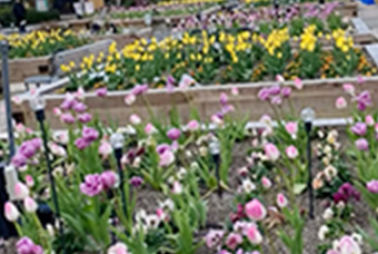 元気じるしのインスタグラム