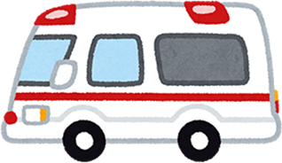 緊急時サポート